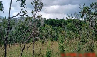 Imóvel 2382255 [''] - ['Nao informado Nao informado Chacara Agua Boa'] [''] - ['Darcinópolis']/['TO'] - 1