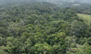 Imóvel 2525155 [''] - ['terceira linha torrens - núcleo hercílio luz'] [''] - ['Criciúma']/['SC'] - 1