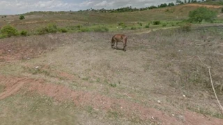 Imóvel 1702756 [''] - ['Sape , S/N'] [''] - ['Sapé']/['PB'] - 1