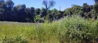 Imóvel 2660256 [''] - ['Esquina Marcelo'] [''] - ['Entre-Ijuís']/['RS'] - 1