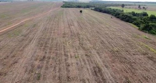 Imóvel 2526756 [''] - ['Situado na Fazenda denominada \\MELANCIAL\\, município de Gameleira de Goiás/GO'] [''] - ['Gameleira De Goiás']/['GO'] - 1