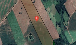 Imóvel 2390056 [''] - ['Lote RL-8 Gleba n° 12 - 2a Parte da Colônia Goioerê, CEP 87360-000, Município de Moreira Salles, Goioerê/PR'] [''] - ['Goioerê']/['PR'] - 1