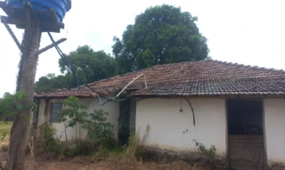 Imóvel 2763256 [''] - ['Sítio Água Limpa, Água Limpa - Monte Alto - SP'] ['Água Limpa'] - ['Monte Alto']/['SP'] - 1