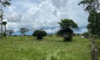 Imóvel 2620056 [''] - ['lote 87/D-1, Gleba 16, Projeto de Assentamento Dirigido Marechal Dutra'] [''] - ['Ariquemes']/['RO'] - 1