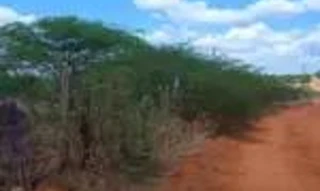 Imóvel 1874856 [''] - ['R. Wilfrid Russel Shorto, 60, SALA 1102 - 11º ANDAR Boa Viagem - Recife/PE'] [''] - ['Ouricuri']/['PE'] - 1