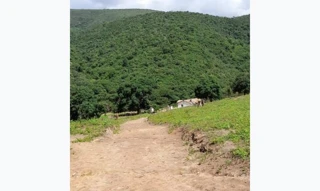 Imóvel 2814756 [''] - ['Fazenda Monte Alto - BR 116 km 146, Rural, Ponto dos Volantes/MG'] [''] - ['Ponto Dos Volantes']/['MG'] - 1