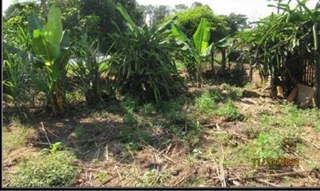 Imóvel 2689757 [''] - ['Estrada Mas Duzentos e Oitenta e Sete, Bairro Camanducaia de Baixo'] [''] - ['Socorro']/['SP'] - 1