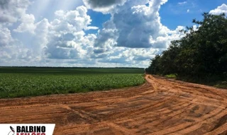 Imóvel 2597657 [''] - ['Zona rural, Brasnorte, MT'] [''] - ['Brasnorte']/['MT'] - 1