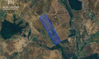 Imóvel 2669857 [''] - ['Fazenda Santa Marta, Piçarra, São Geraldo do Araguaia'] [''] - ['São Geraldo Do Araguaia']/['PA'] - 1