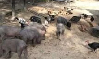Imóvel 2848457 [''] - ['lote nº 292, localizada na Gleba Tocantins, Loteamento Tocantins, denominada Fazenda Rio Bonito'] [''] - ['Breu Branco']/['PA'] - 1