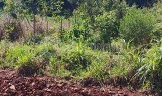 Imóvel 2660257 [''] - ['Esquina Konrad, Barro Preto'] [''] - ['Entre-Ijuís']/['RS'] - 1