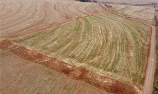 Imóvel 2506057 [''] - ['Lote no 21-B, da subdivisão do lote 21, subdivisão do lote 6-C. Rem, Gleba n 16, 1a Parte da Colônia Goioerê, CEP 87360-000, Goioerê/PR'] [''] - ['Goioerê']/['PR'] - 1