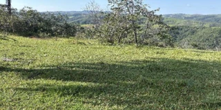Imóvel 2866157 [''] - ['Fazenda Santa Marta, Zona Rural - Tiros/MG'] [''] - ['Tiros']/['MG'] - 1