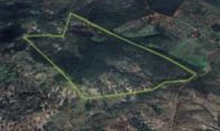 Imóvel 2624057 [''] - ['Fazenda Estrela do Norte, Filadélfia'] [''] - ['Filadélfia']/['TO'] - 1