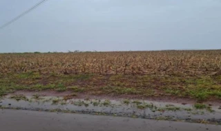 Imóvel 2558558 [''] - [''] [''] - ['Toledo']/['PR'] - 1