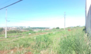 Imóvel 2655258 [''] - ['Gleba Jacutinga'] ['Jacutinga'] - ['Londrina']/['PR'] - 1