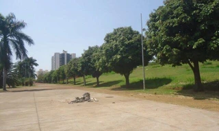 Imóvel 2655358 [''] - ['GLEBA PATRIMONIO LONDRINA'] [''] - ['Londrina']/['PR'] - 1