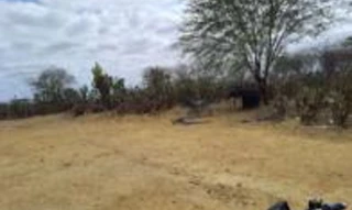 Imóvel 2646258 [''] - ['Sitio lagoa da Muriçoca, s/n - zona rural'] [''] - ['Dormentes']/['PE'] - 1