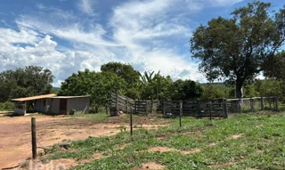 Imóvel 2717959 [''] - ['Fazenda São Domingos de Baixo / Fazenda São Domingos'] [''] - ['Piranhas']/['GO'] - 1