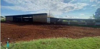 Imóvel 2427059 [''] - ['FAZENDA IBIPORÃO I - 140HA'] [''] - ['Nova Olímpia']/['MT'] - 1