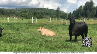 Imóvel 2233259 [''] - ['Área Rural de Poços de Caldas'] [''] - ['Poços De Caldas']/['MG'] - 1