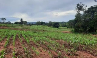 Imóvel 2558559 [''] - [''] [''] - ['outras']/['na'] - 1