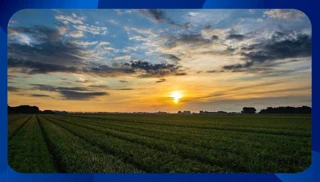 Imóvel 2233259 [''] - ['RUA JOSUÉ REIS, 95, PARQUE BOA VISTA'] ['Parque Boa Vista'] - ['Varginha']/['MG'] - 1