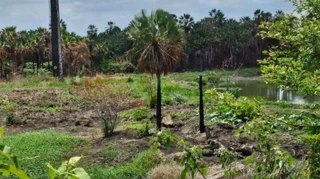 Imóvel 2617259 [''] - [', SN - Cajazeiras'] ['Cajazeiras'] - ['Fortaleza']/['CE'] - 1