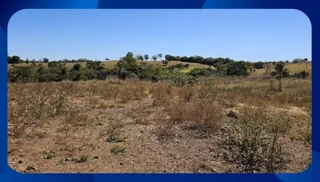 Imóvel 2561860 [''] - [', sn'] [''] - ['Palmares']/['PE'] - 1