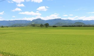 Imóvel 2474560 [''] - ['FAZENDA PONTAL- LUGARES EXTREMINHAS E POÇÕES'] [''] - ['Lagoa Grande']/['MG'] - 1