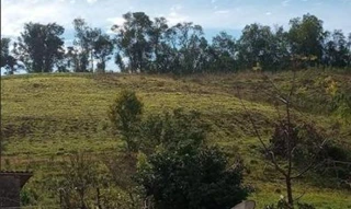 Imóvel 2547460 [''] - ['Linha Roggia, município de Caiçara – RS'] [''] - ['Frederico Westphalen']/['RS'] - 1