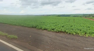 Imóvel 2529560 [''] - ['Sitio Dona Jandira, Água do Salto, Distrito de Santa Margarida'] ['Santa Margarida'] - ['Bela Vista Do Paraíso']/['PR'] - 1