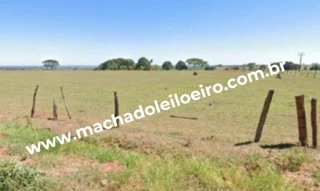 Imóvel 2429960 [''] - ['Área Rural, s/n'] [''] - ['Dourados']/['MS'] - 1