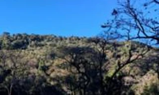 Imóvel 2487760 [''] - ['Linha Santa Lucia'] [''] - ['Nova Itaberaba']/['SC'] - 1