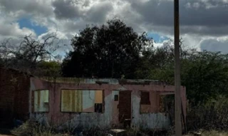 Imóvel 2388560 [''] - ['Sítio Caboclo, Fazenda Alegre, zona rural do Município de Santa Cruz-PE'] [''] - ['Santa Cruz']/['PE'] - 1