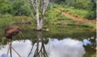 Imóvel 2683761 [''] - ['Bela Vista e Vasco da Gama, região denominada Patioba, zona rural de Ibicaraí'] [''] - ['Ibicaraí']/['BA'] - 1