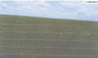 Imóvel 2558661 [''] - [''] [''] - ['Jaciara']/['MT'] - 1