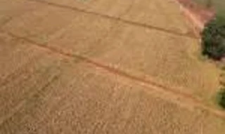 Imóvel 2605561 [''] - ['Estrada Colombo - Lote de Terras N°38-B, situado na Gleba Colombo'] [''] - ['Maringá']/['PR'] - 1