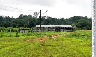 Imóvel 2614861 [''] - ['Gleba Caracaraí'] [''] - ['Caracaraí']/['RR'] - 1