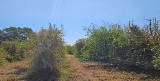 Imóvel 2839461 [''] - ['Av. Vitória Régia, s/n, Fazenda Santa Maria, Serra do Salitre/MG'] [''] - ['Serra Do Salitre']/['MG'] - 1