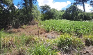 Imóvel 2795861 [''] - ['Parte do Lote Rural n.º 01, da Linha Onze (11), Secção Lambedor'] [''] - ['Severiano De Almeida']/['RS'] - 1