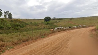 Imóvel 2645962 [''] - ['A. Rural , S/N - Area Rural De Guaxupe'] [''] - ['Guaxupé']/['MG'] - 1