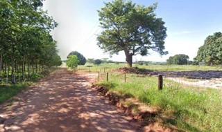 Imóvel 2676262 [''] - ['Fazenda Agua Limpa'] ['Loteamento Recanto Renata'] - ['Neves Paulista']/['SP'] - 1