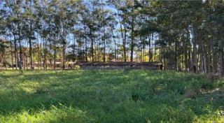 Imóvel 2738862 [''] - ['RUA FELINTO MULLER, 71'] [''] - ['Xambrê']/['PR'] - 1