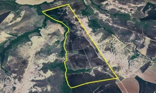 Imóvel 2646162 [''] - ['Fazenda Bom Sucesso da Barra do Pará, Saco da Rosa'] [''] - ['Abaeté']/['MG'] - 1