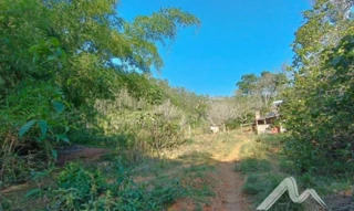 Imóvel 2427562 [''] - ['Fazenda Bom Destino, - Cataguases - MG'] [''] - ['Cataguases']/['MG'] - 1