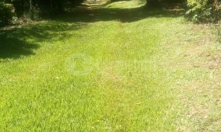 Imóvel 2688263 [''] - ['rincão dos Botega, Município de Catuípe'] [''] - ['Catuípe']/['RS'] - 1