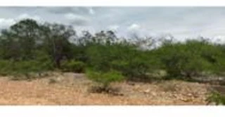 Imóvel 2683763 [''] - [''] [''] - ['Casa Nova']/['BA'] - 1