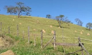 Imóvel 2483363 [''] - ['Rodovia Presidente Dutra, 5000 - Jardim Modelo - Guaratinguetá / SP'] ['Campinho'] - ['Guaratinguetá']/['SP'] - 1