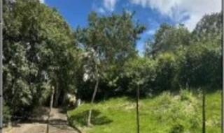 Imóvel 2792063 [''] - ['SÍTIO PEDRA DOS PERDÕES N. 00, SERRA NEGRA - SÍTIO PEDRA DA CRUZ - Zona Rural - Bezerros/PE'] [''] - ['Bezerros']/['PE'] - 1